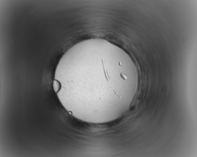 X0000088710707200706282043