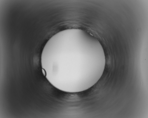 X0000088710715200706282043