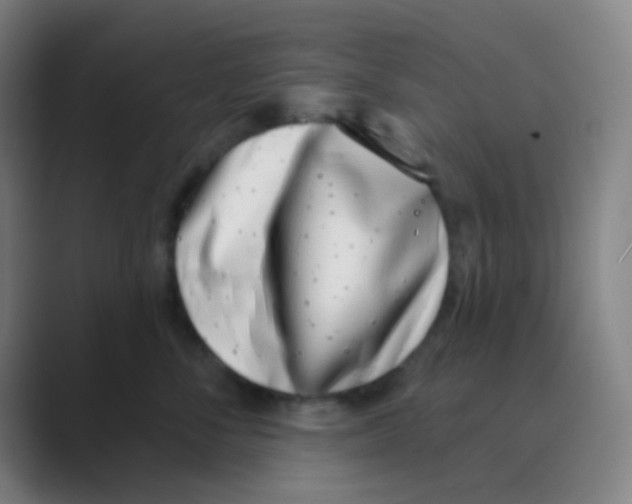 X0000088710716200706282043