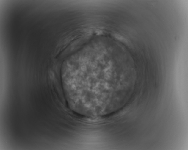 X0000088710720200706282043