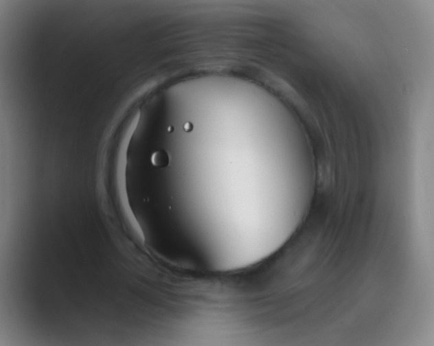 X0000088710724200706282043