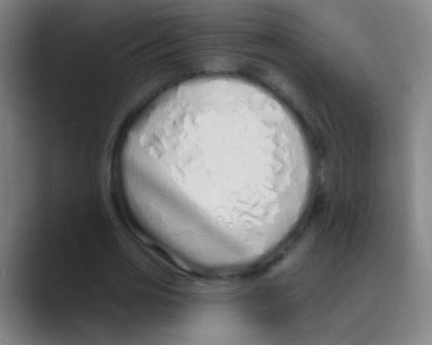 X0000088710725200706282043