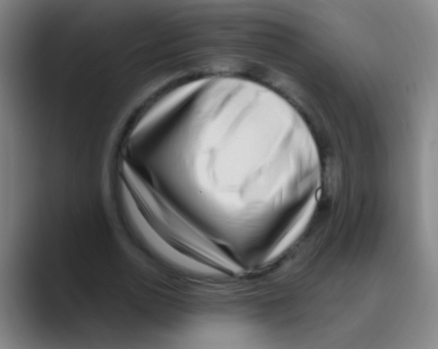 X0000088710726200706282043