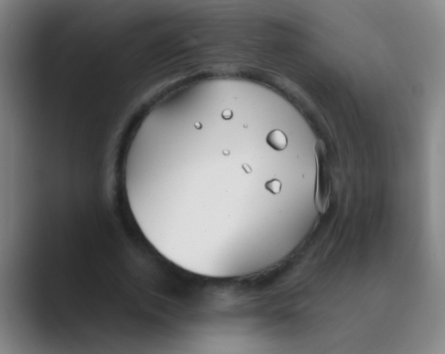 X0000088710728200706282043