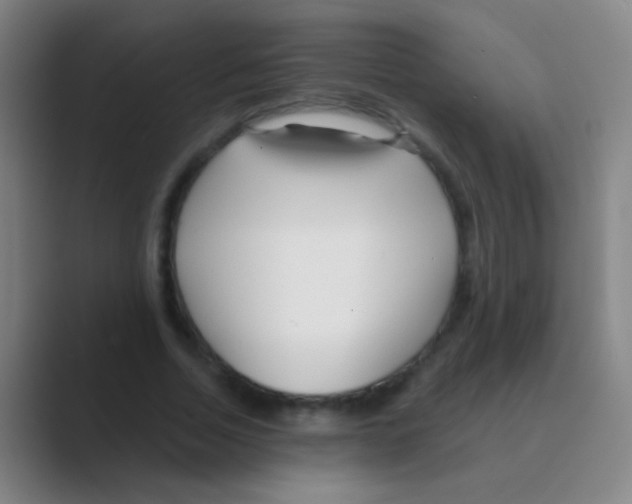 X0000088710730200706282043