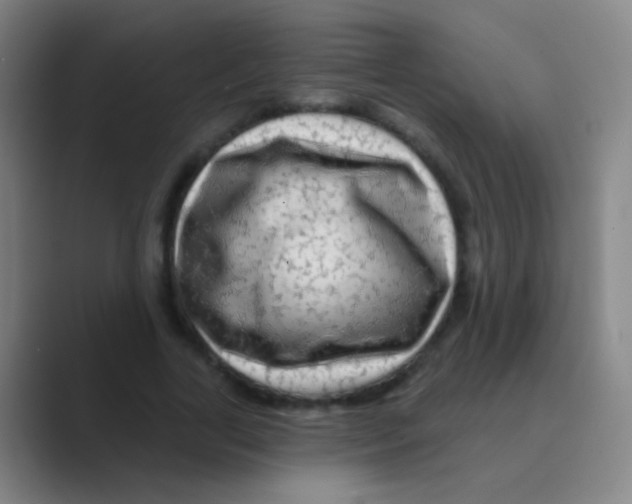 X0000088710731200706282043