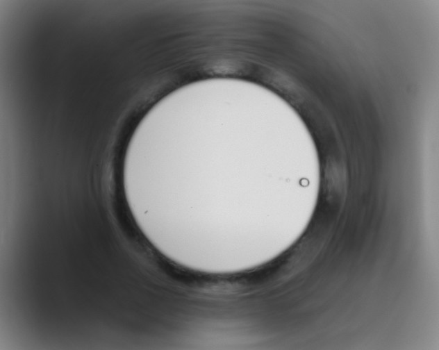 X0000088710734200706282043