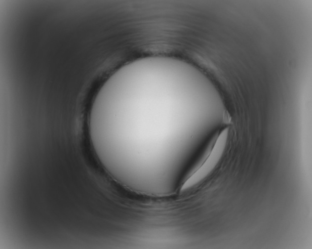 X0000088710735200706282043