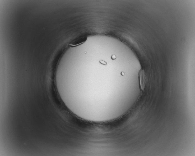 X0000088710736200706282043