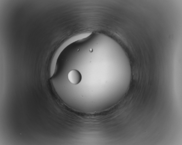 X0000088710740200706282043