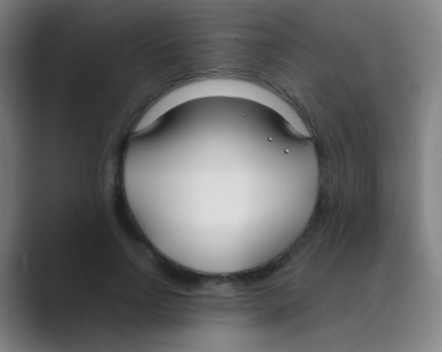 X0000088710742200706282043