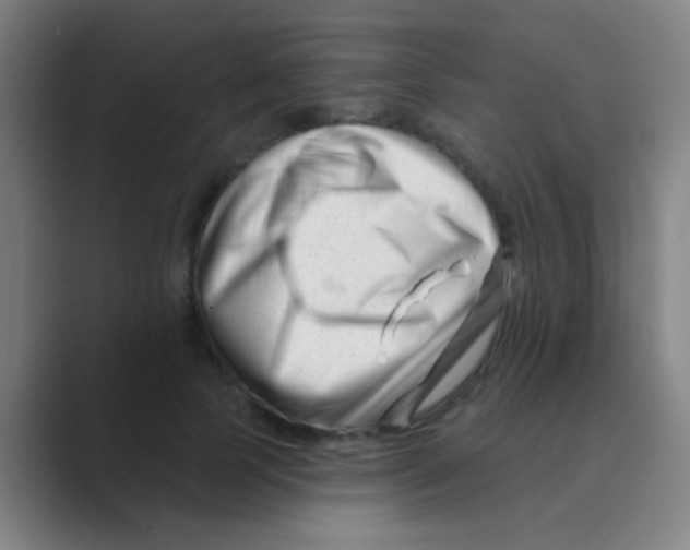 X0000088710745200706282043