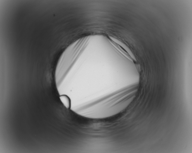 X0000088710746200706282043