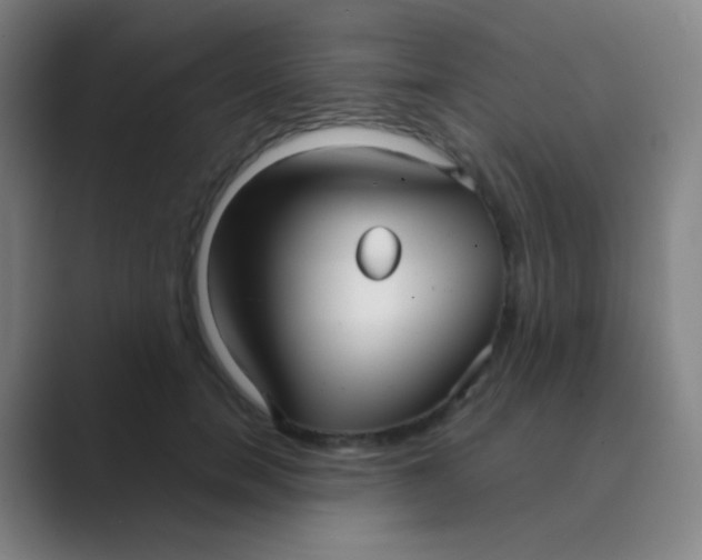 X0000088710750200706282043