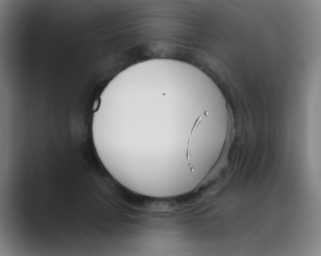 X0000088710751200706282043