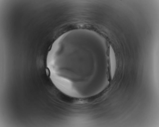 X0000088710754200706282043