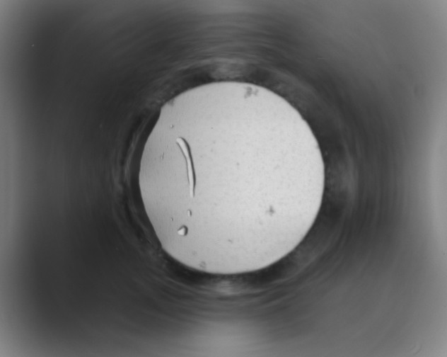 X0000088710755200706282043