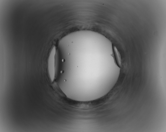 X0000088710756200706282043