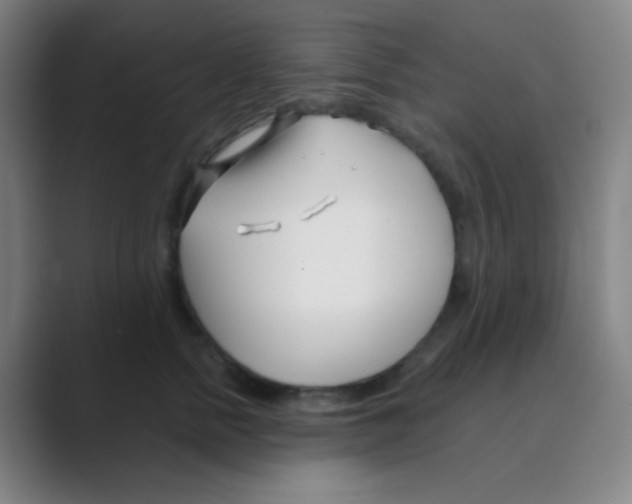 X0000088710758200706282043