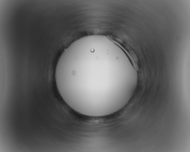 X0000088710760200706282043