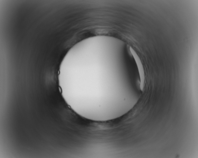 X0000088710763200706282043