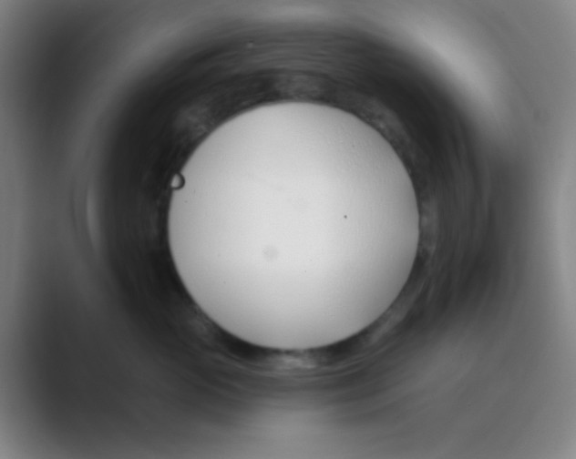 X0000088710765200706282043