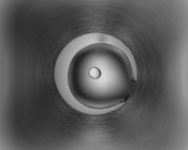 X0000088710766200706282043