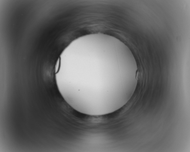 X0000088710767200706282043