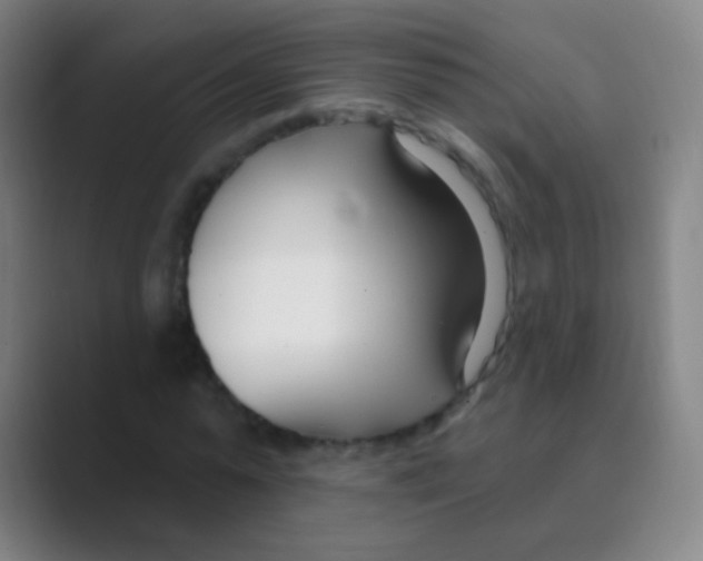 X0000088710775200706282042