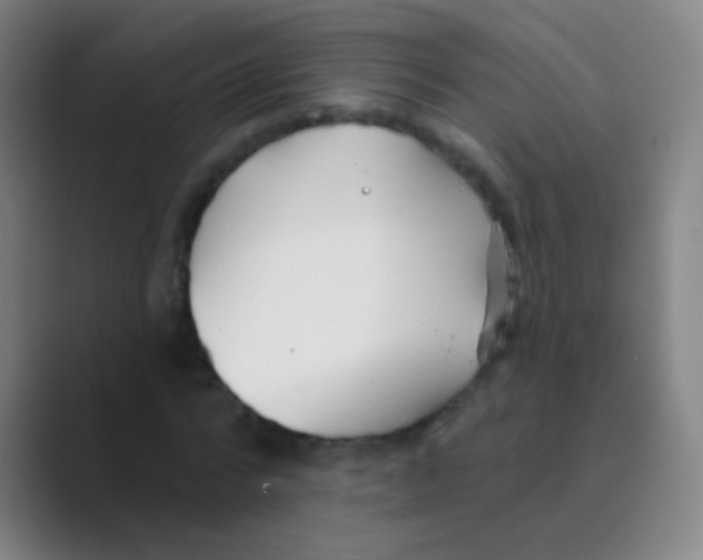 X0000088710776200706282042