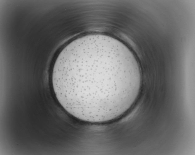 X0000088710779200706282042