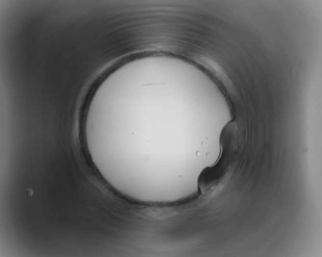 X0000088710780200706282042