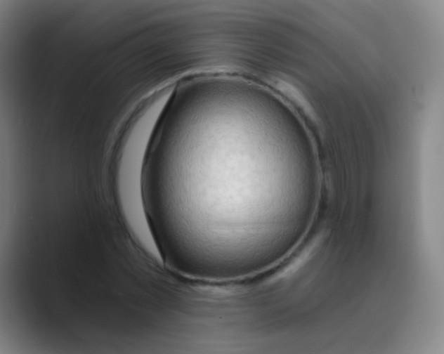 X0000088710781200706282042