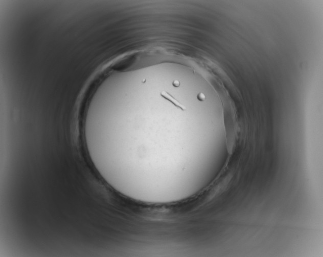 X0000088710784200706282042