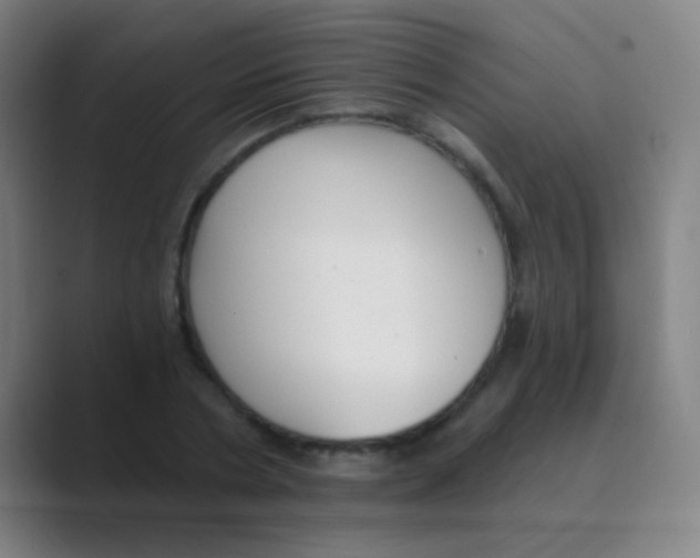 X0000088710786200706282042