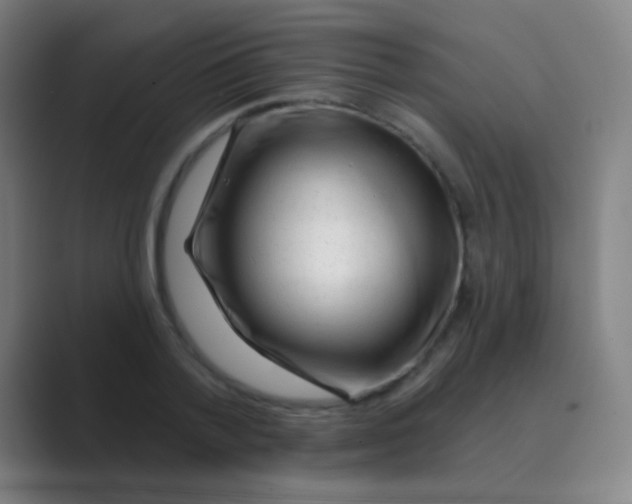 X0000088710788200706282042