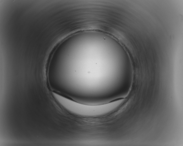 X0000088710789200706282042