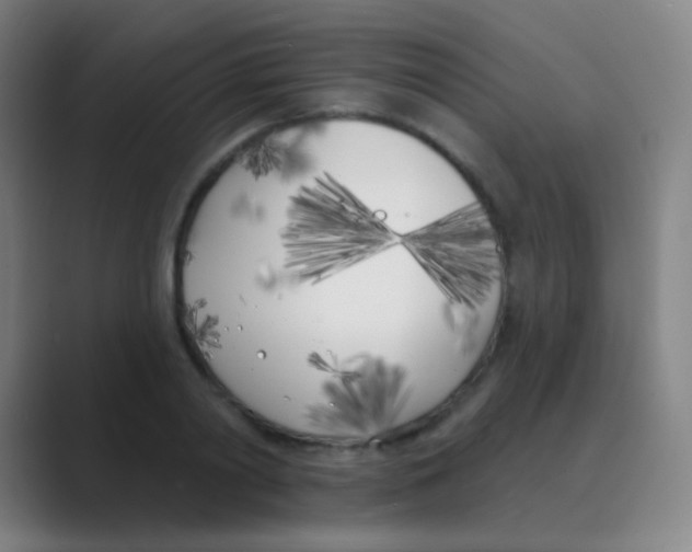 X0000088710790200706282042