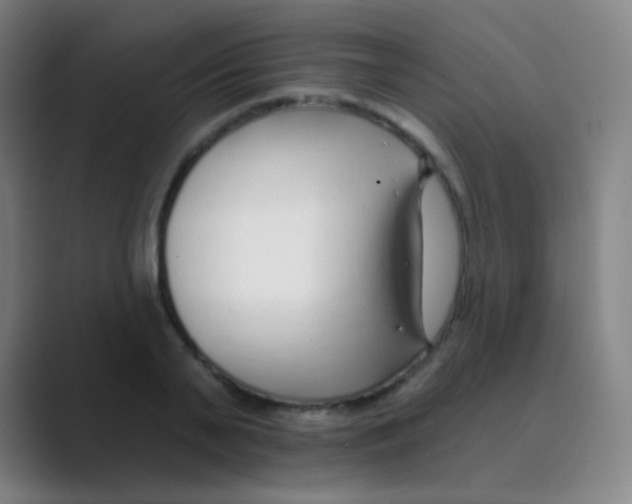 X0000088710791200706282042