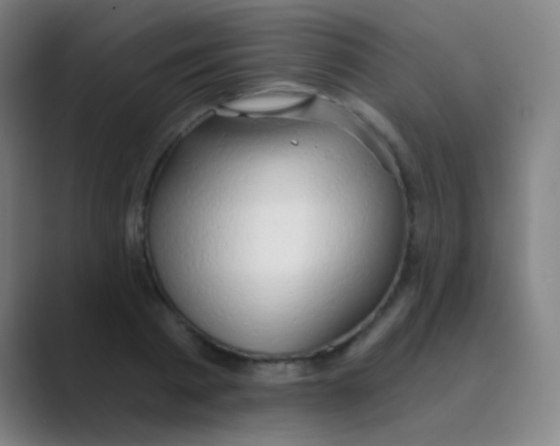 X0000088710793200706282042