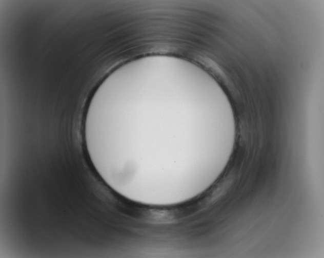 X0000088710794200706282042