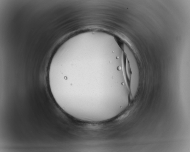 X0000088710799200706282042