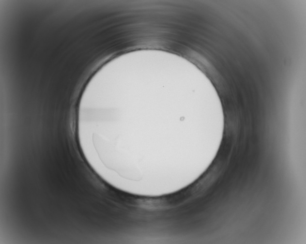 X0000088710804200706282042