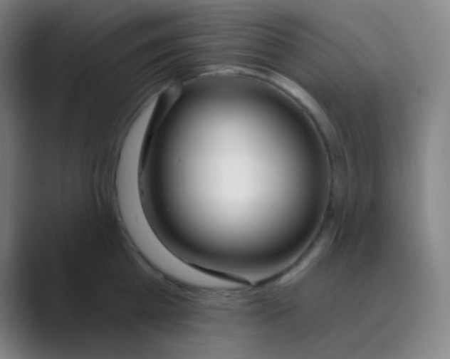 X0000088710809200706282042