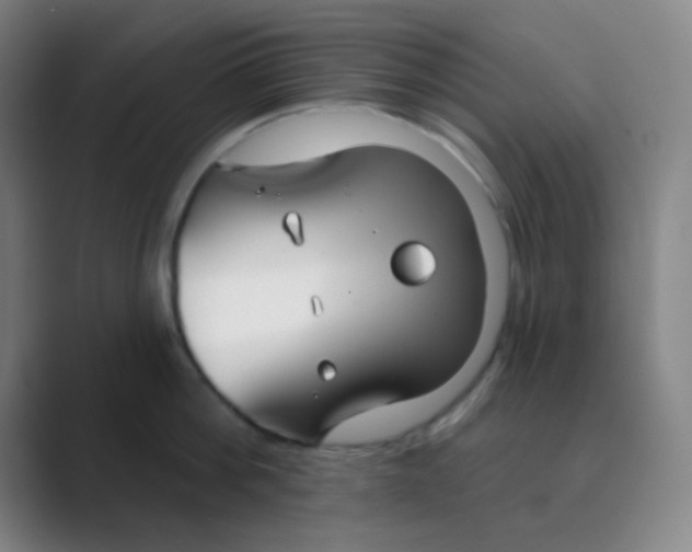 X0000088710812200706282042