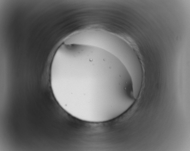 X0000088710816200706282042