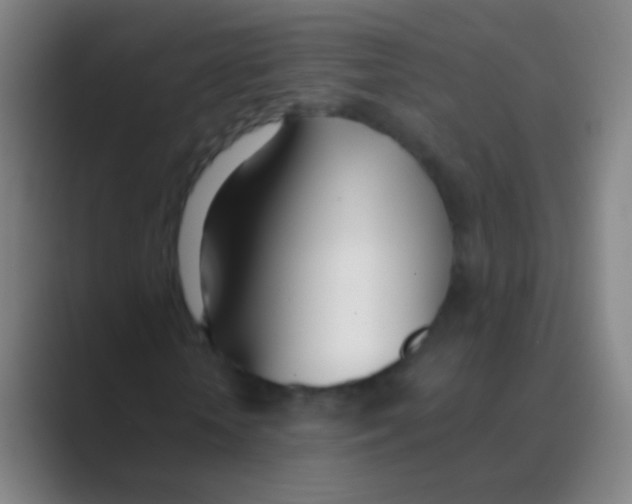 X0000088710818200706282041