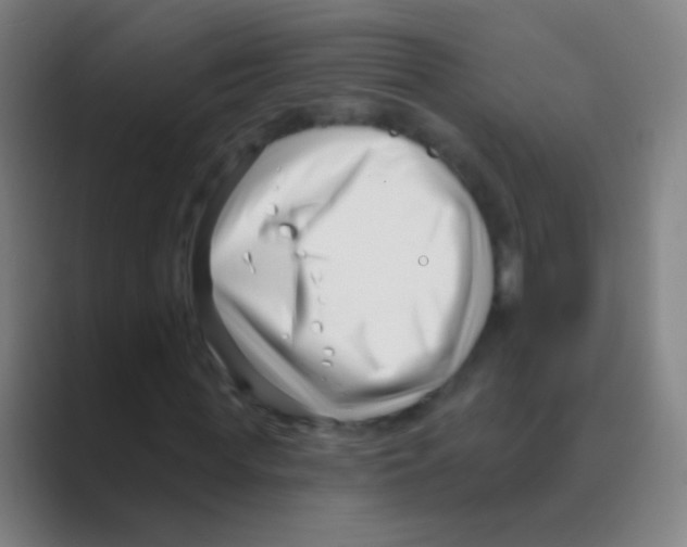 X0000088710819200706282041