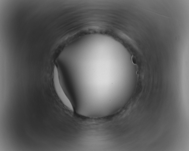 X0000088710822200706282041