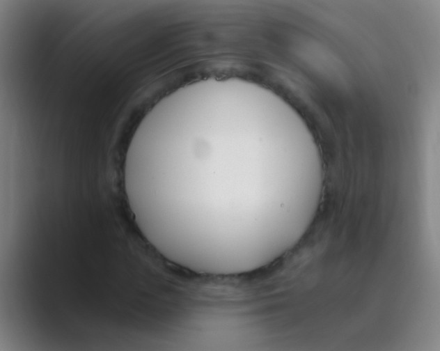 X0000088710823200706282041